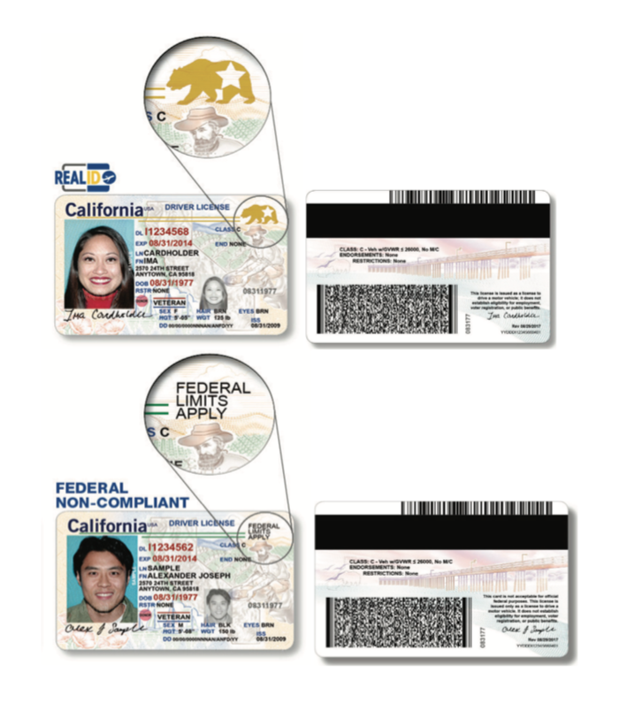 se california license lookup